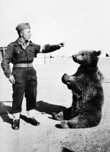 Wojtek The Bear